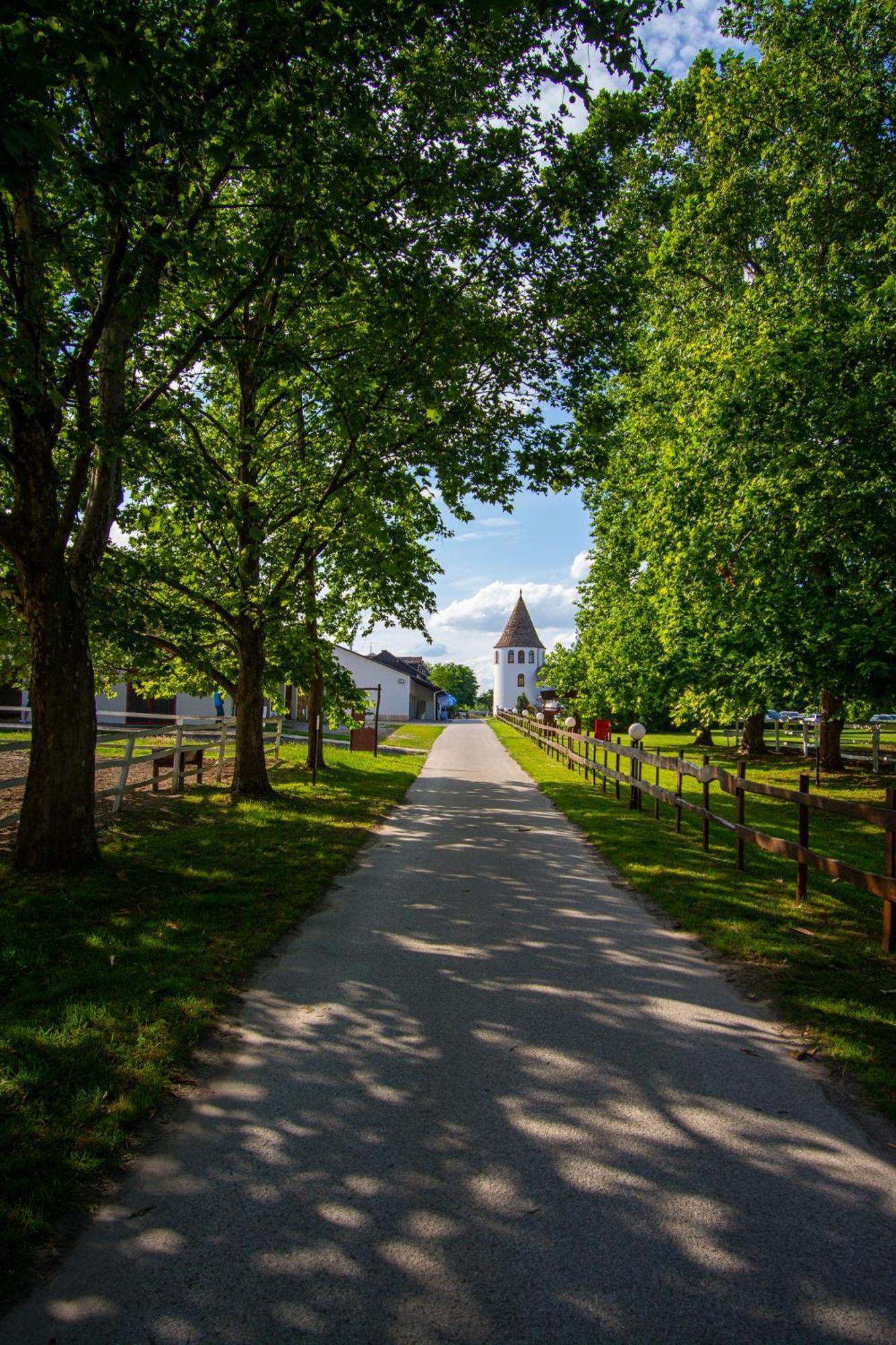 Hotel Villa Majur Subotica Zewnętrze zdjęcie